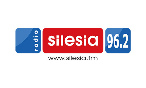 Logo 13